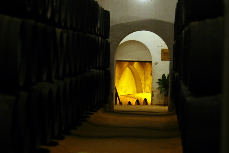 dsc07077-1.JPG